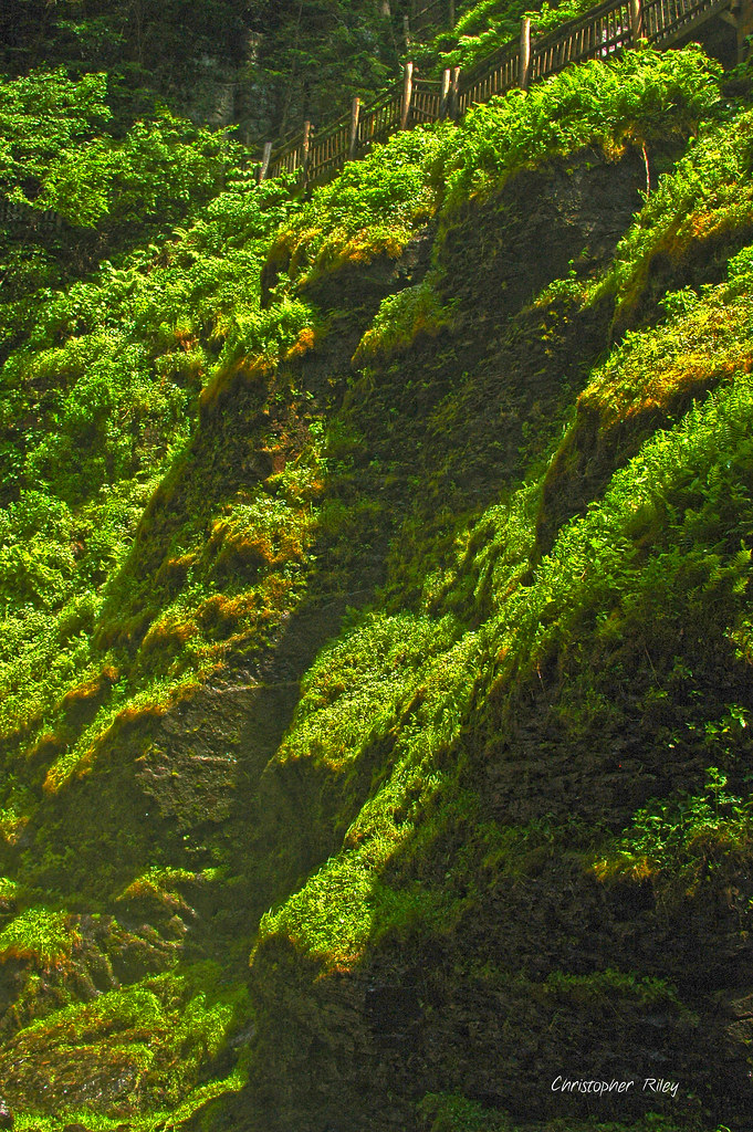 9010471795_c65f42794b_b.jpg