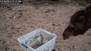 itzdU.gif
