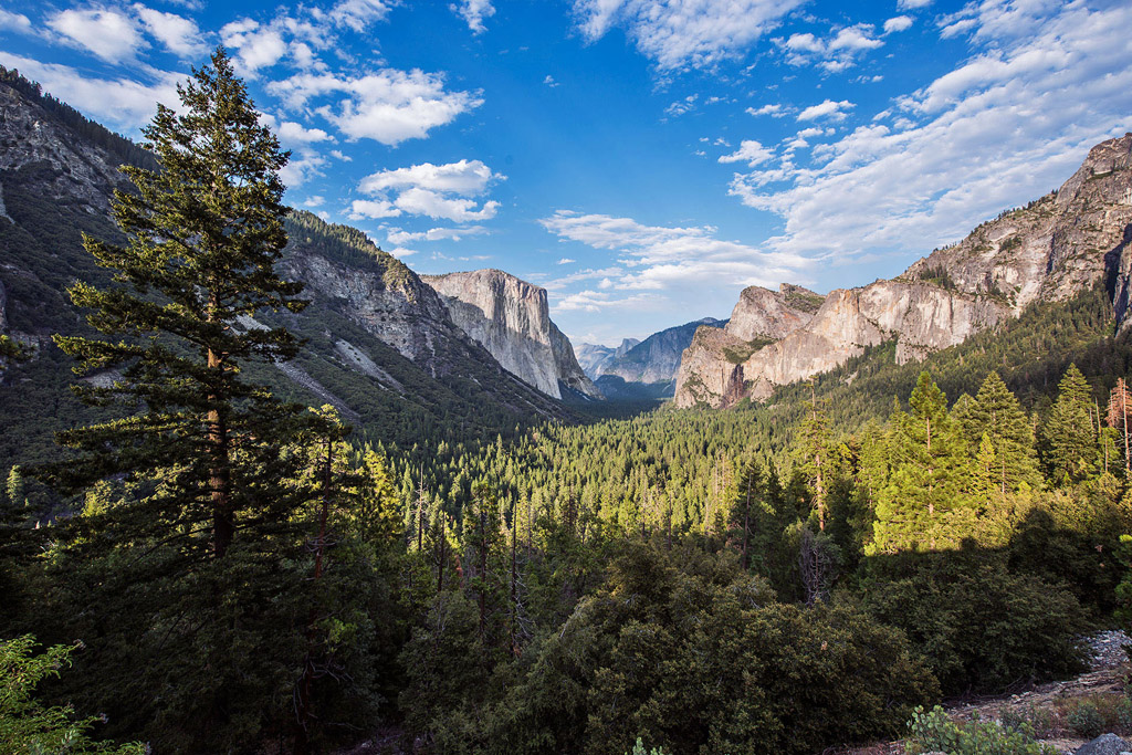 yosemitetunnelview.jpg