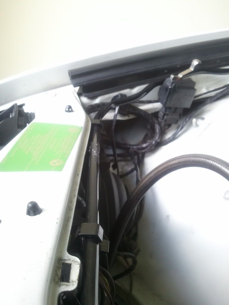 2011-07-16180715.jpg