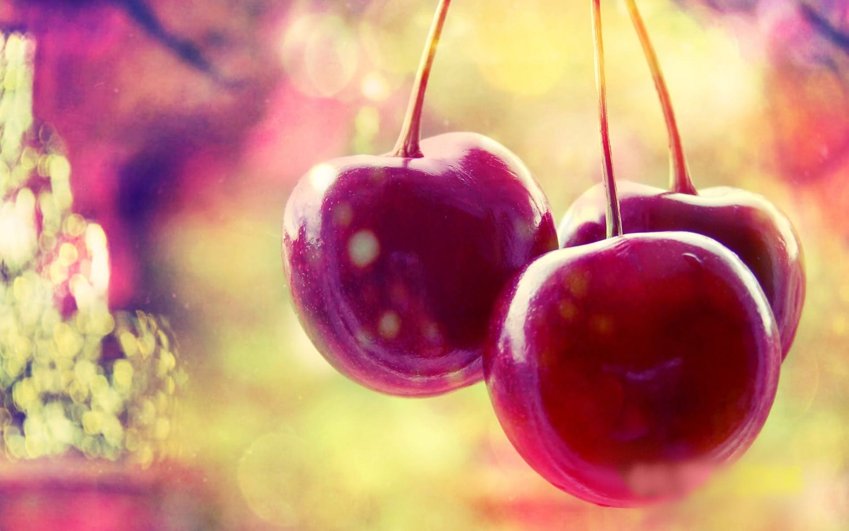 cherrytales_by_shine4evr-d577yr5.jpg