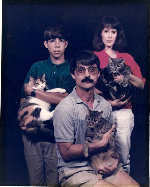 cat_saturday_24.jpg