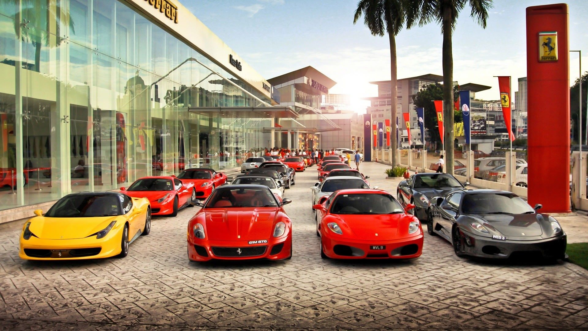 wallpaper-1736013.jpg