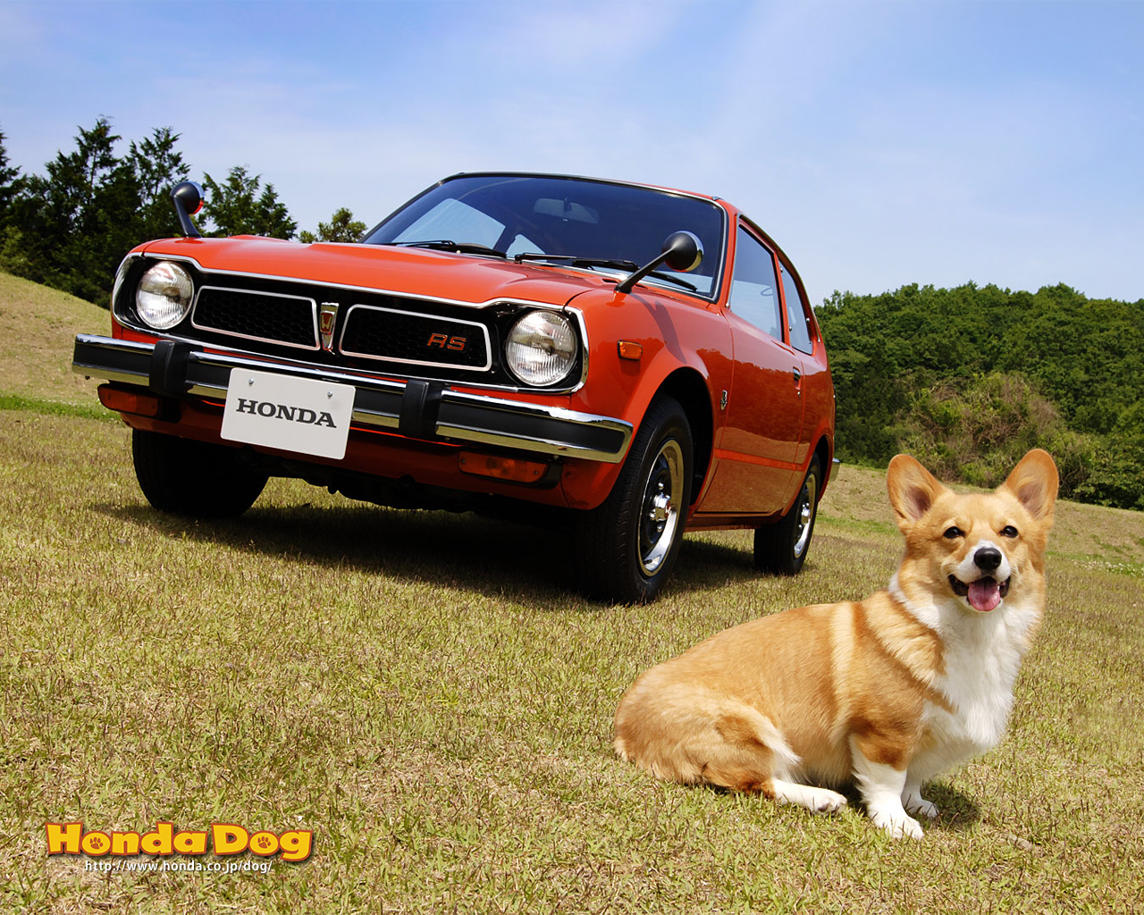 hondadog1.jpg