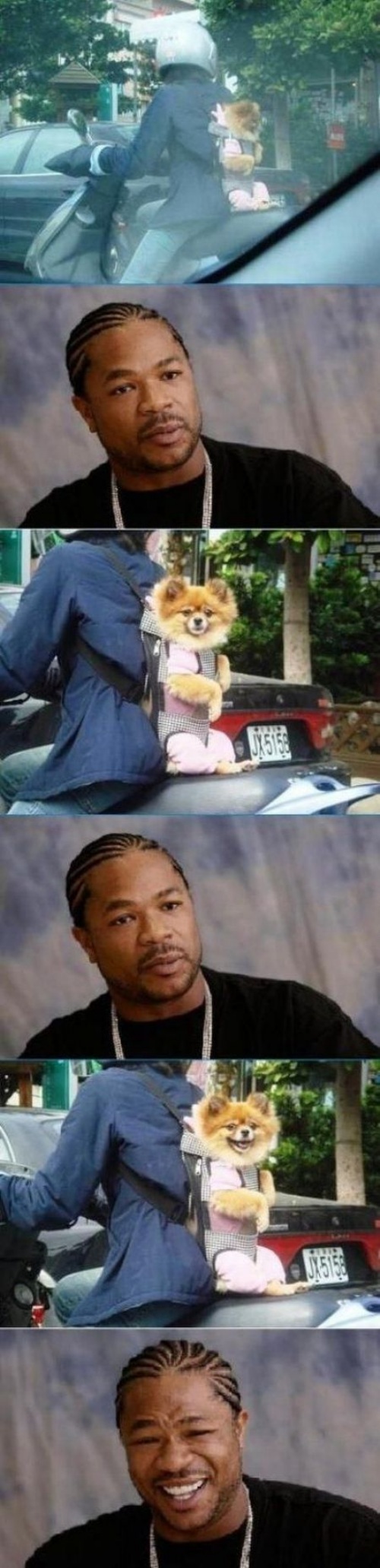 friday_randomness_25.jpg