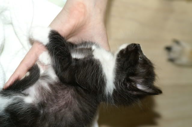PICT0119.jpg