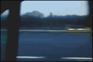 fpGXk.gif
