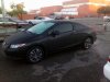 IMG_20131125_071551.jpg