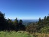 IMG_3074.JPG