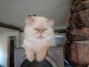 DSC00341.JPG