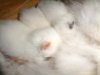 DSC00528.JPG