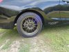 DSC00559.JPG