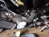 DSC00566.JPG