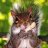 Leroy the Squirrel